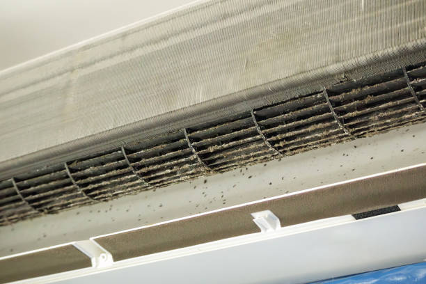 Best HVAC System Cleaning  in Kaibito, AZ